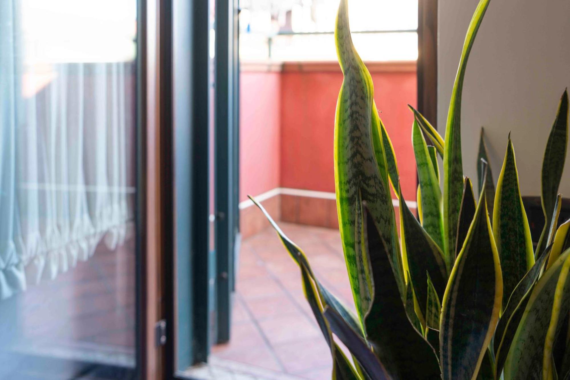 B&B Benny San Marco Evangelista Exterior photo